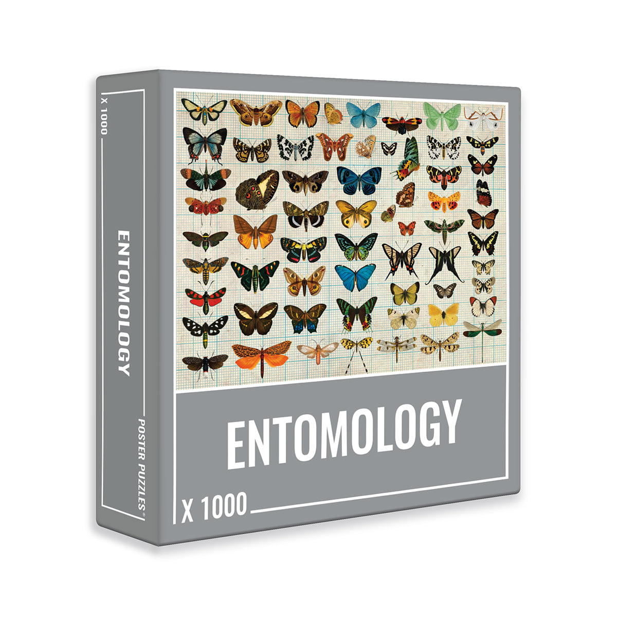 Cloudberries — Entomology